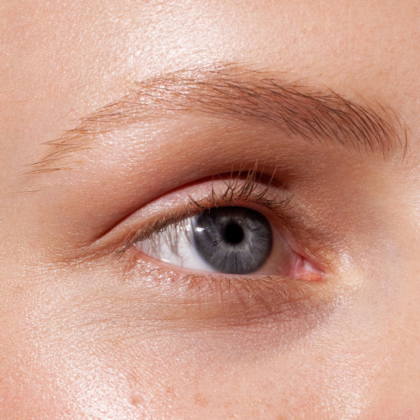 Grow & Fix Tinted Brow Gel - #2 Smokey Blonde