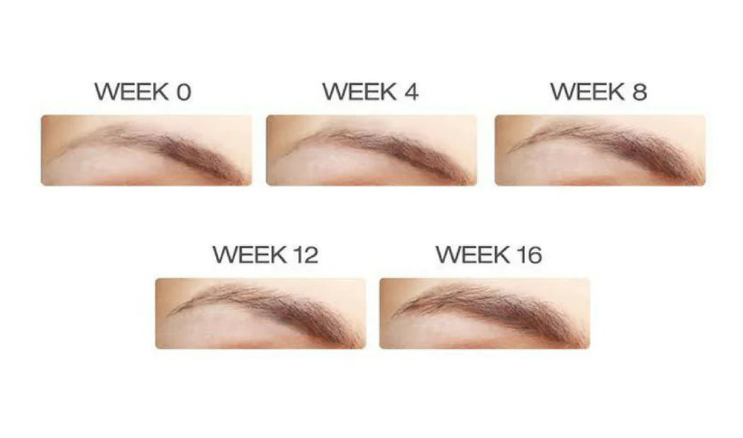 Phyto-Medic Eyebrow Enhancer 5ml