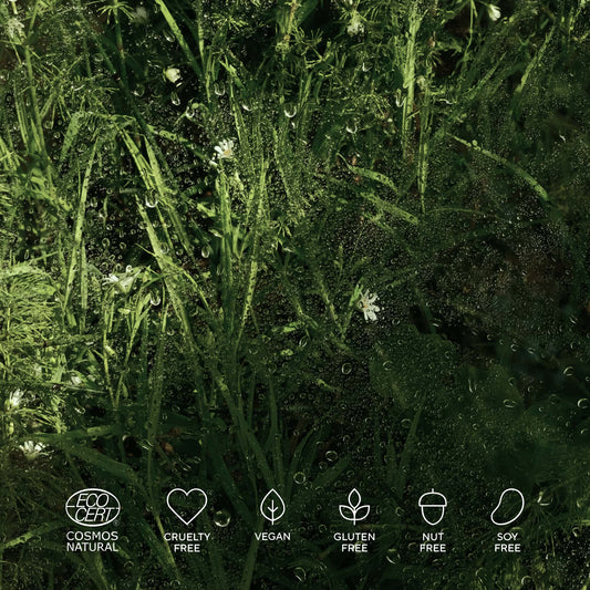 Hyaluronic Biotic Mist 100ml