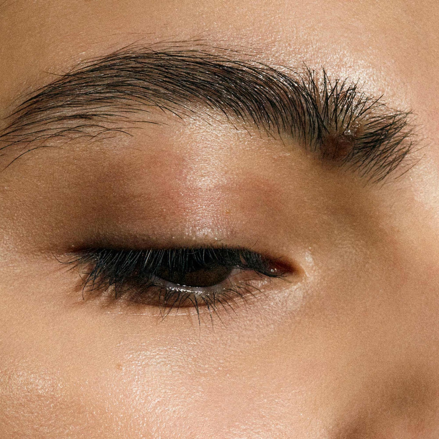 The Brow Pencil 1g - #1 Dark Brown