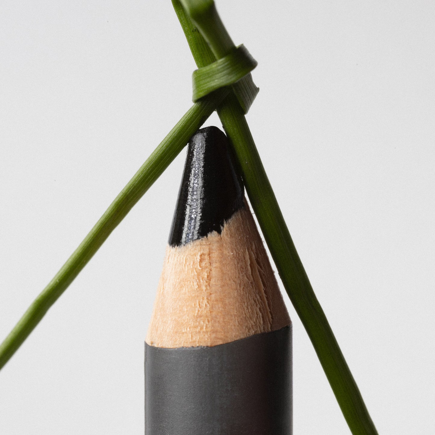 The Eye Pencil 1g - #1 Black