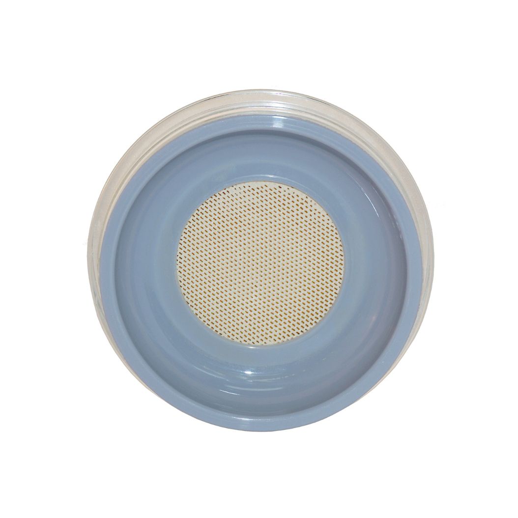 Finishing Powder Soft Focus Flawless 10g