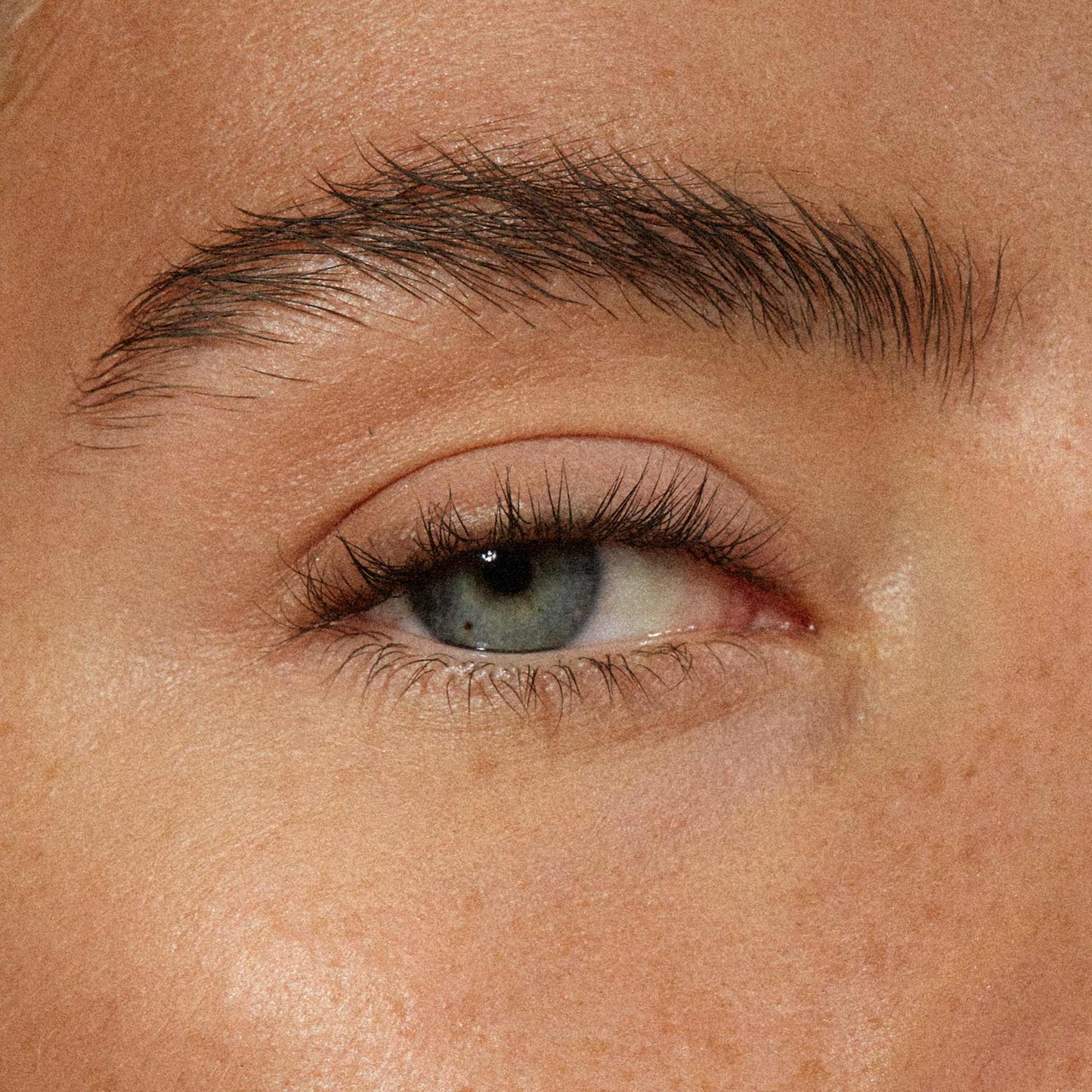 The Brow Pencil 1g - #2 Medium Brown